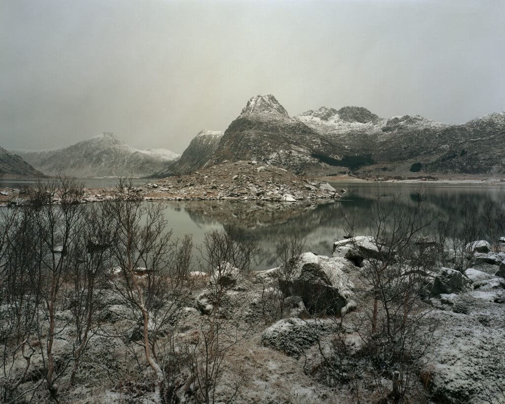 un paisaje cubierto de maleza y niebla