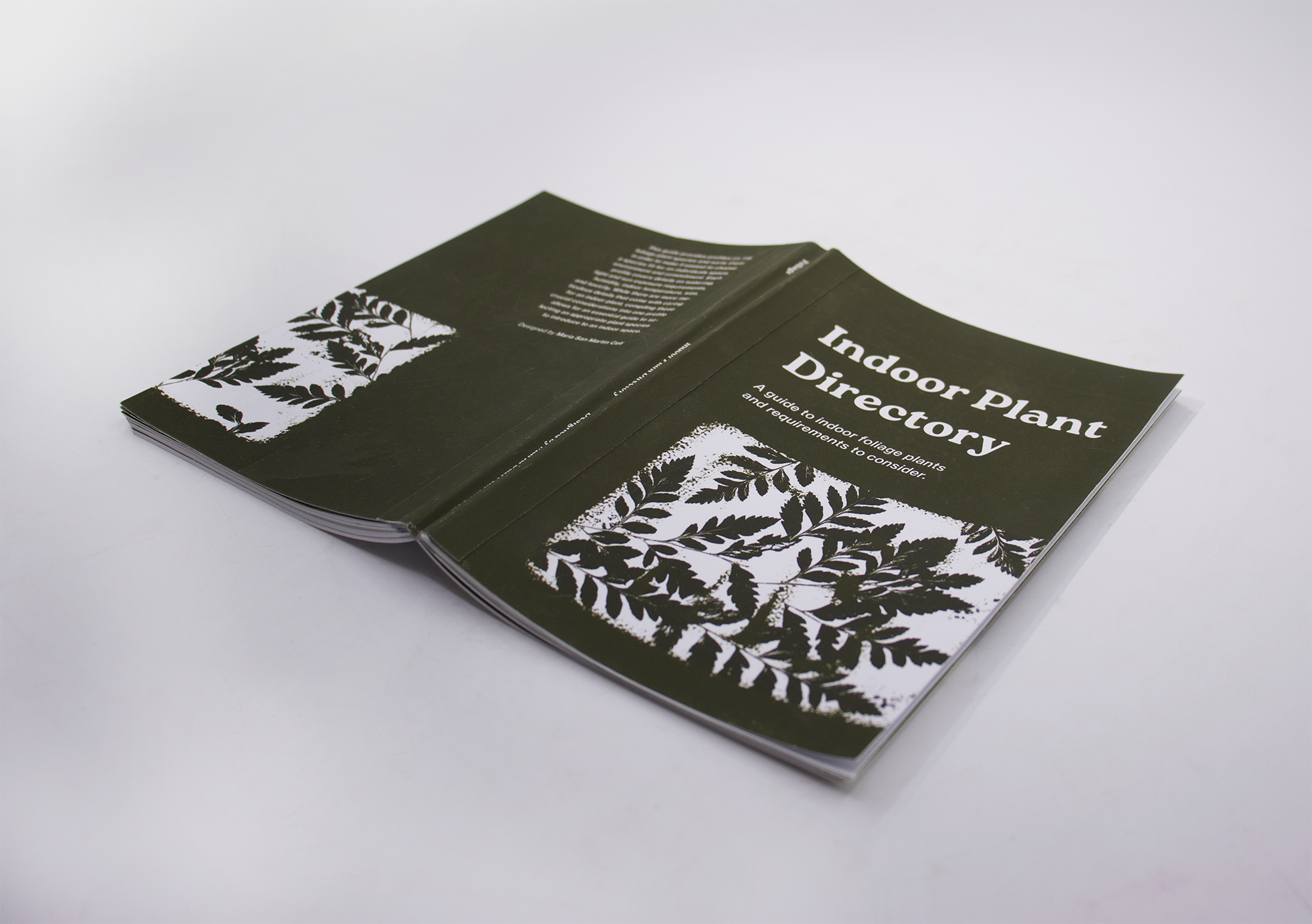 MariaSanMartinCeli IndoorPlantDirectory3