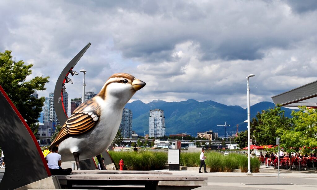 Vancouver, Canada: The Birds comprises a pair of outdoor sculptures depicting house sparrows by Myfanwy MacLeod, installed after the 2010 Winter Olympics in Southeast False Creek Olympic Plaza.