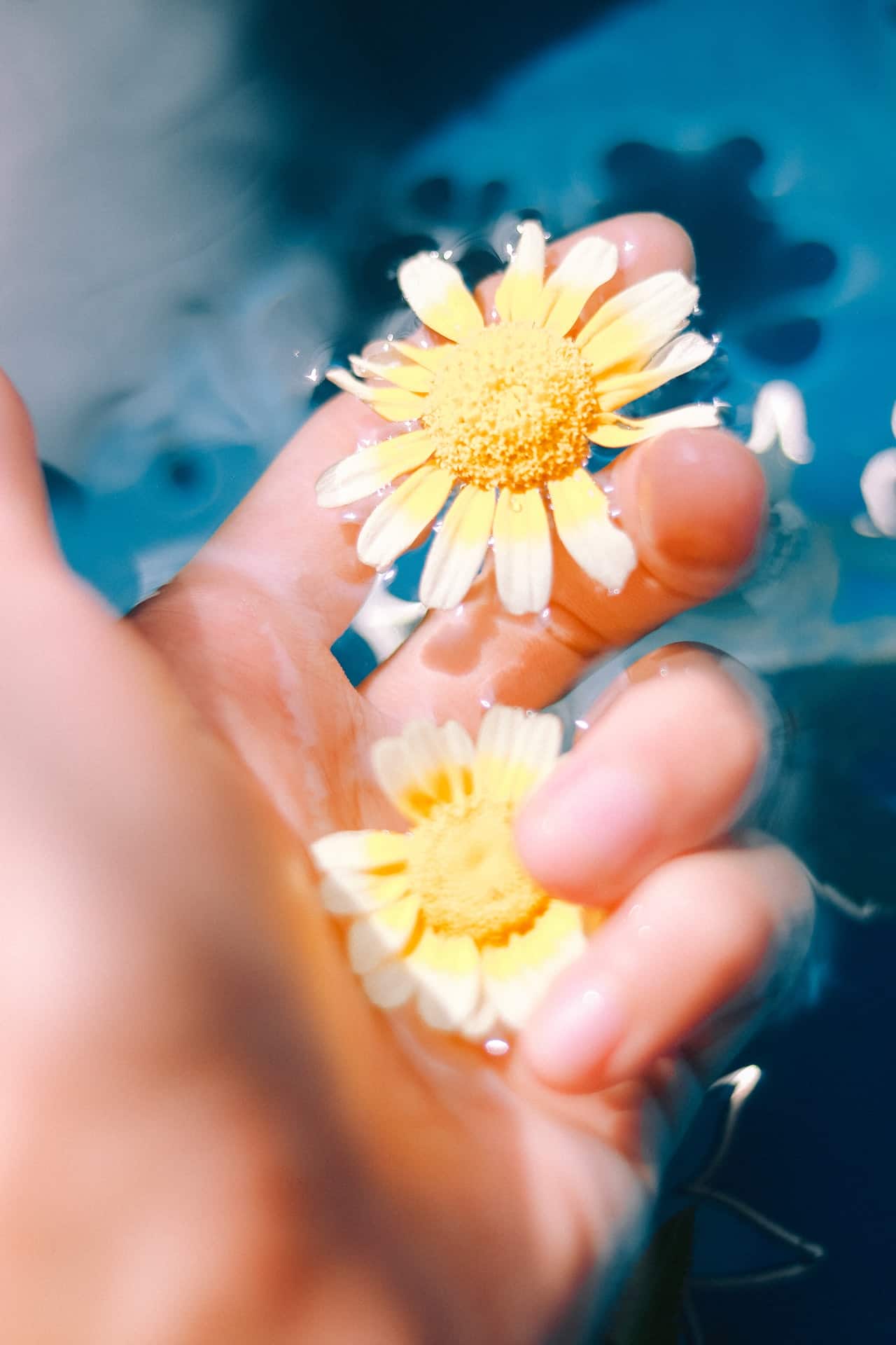 Foto estética com flor na água