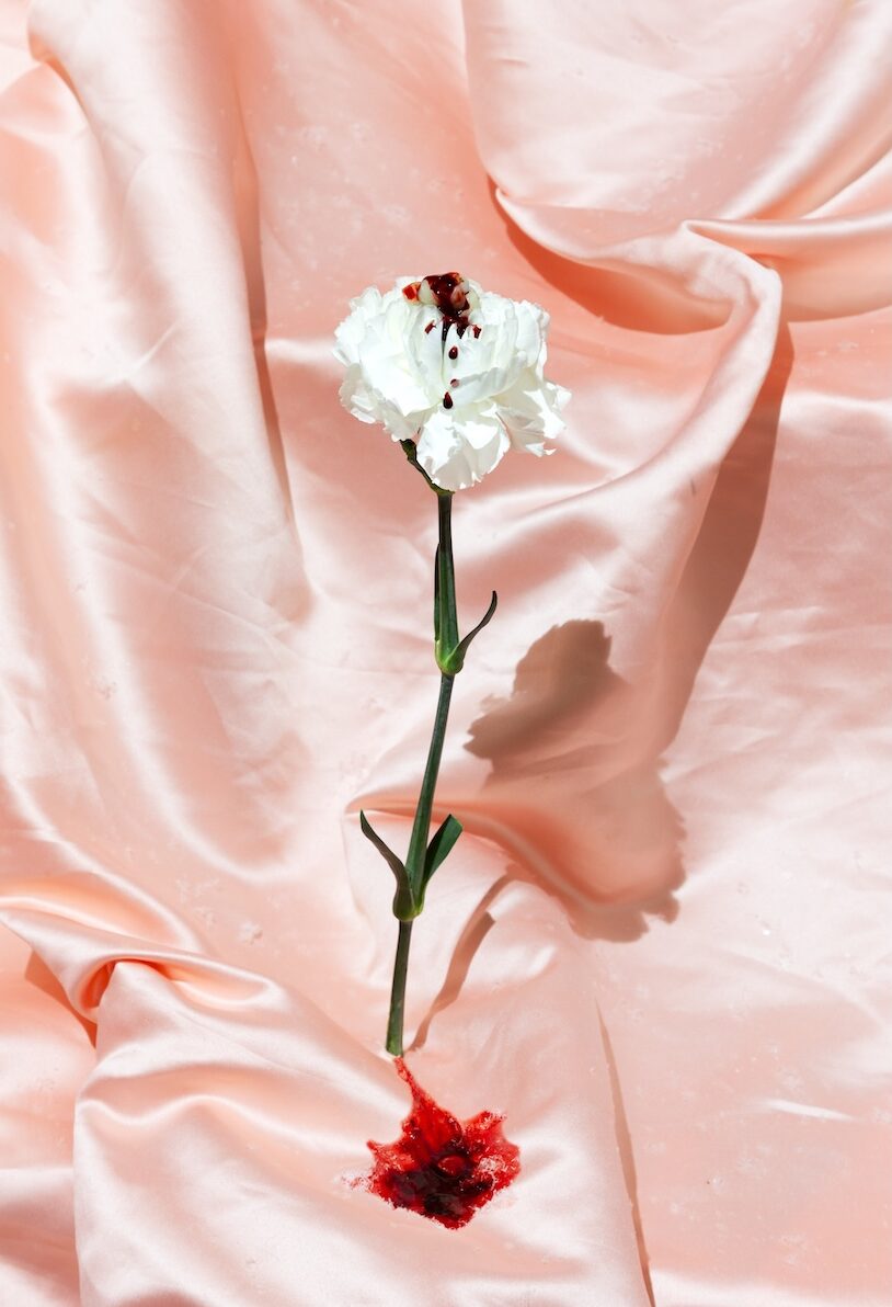 Alison Postma Dead of Winter nature morte photographie