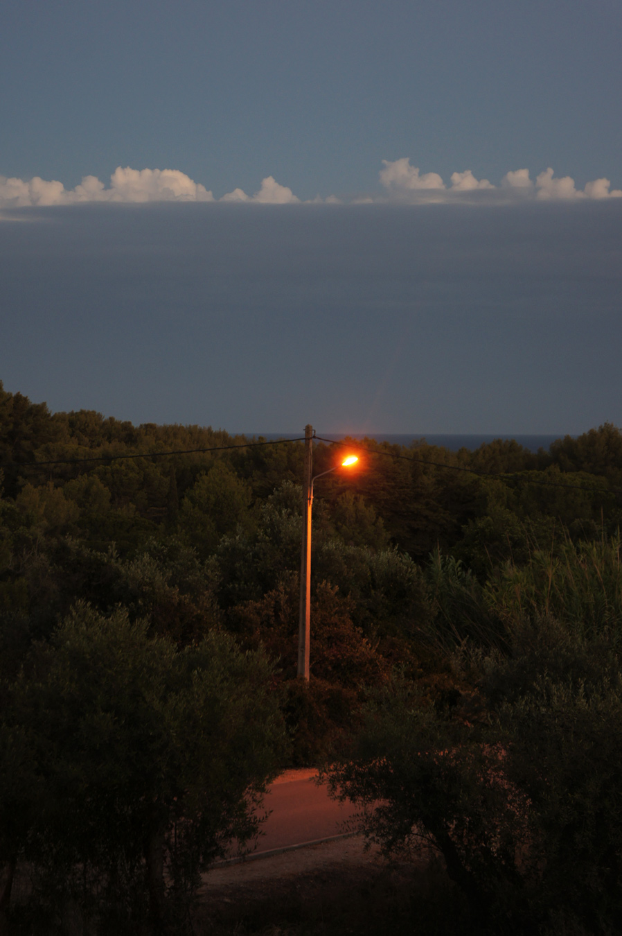Una farola brilla de color naranja al atardecer, iluminando una carretera rodeada de árboles. Arriba, un cielo oscuro está coronado por una fina línea de nubes blancas. Fotografía de Marcia Simoes.
