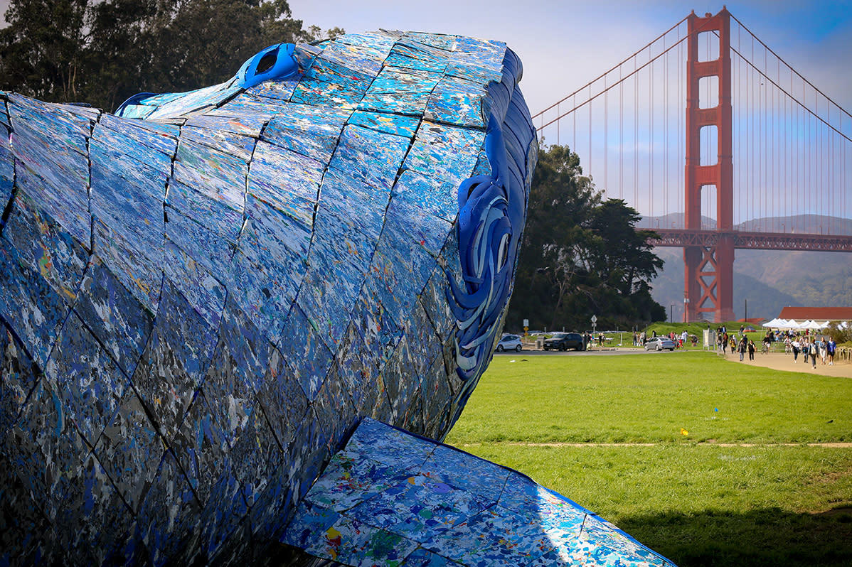 L'aquarium de la baie de Monterey rend la pollution des océans impossible à ignorer