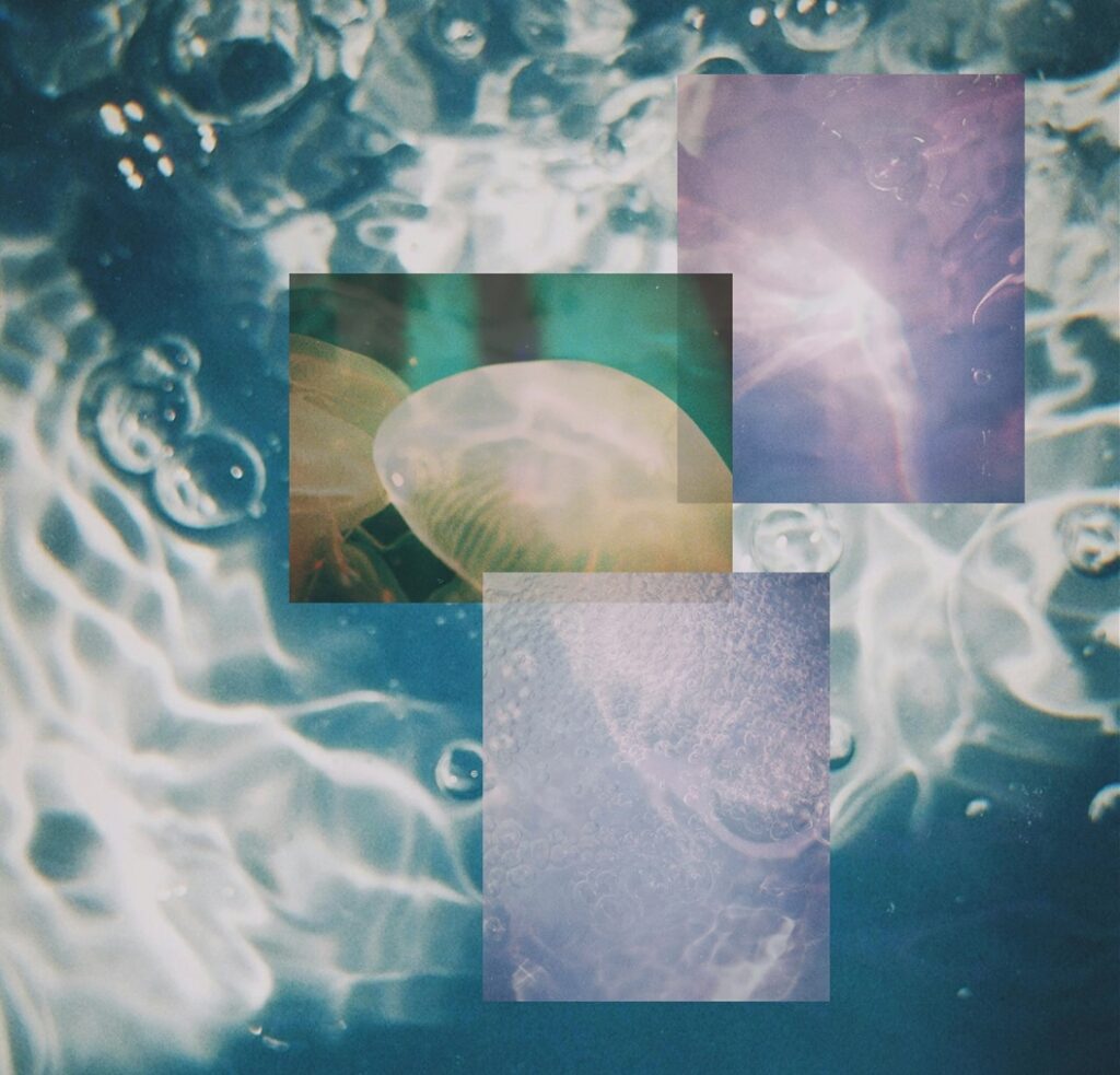 Abstract image featuring water with bubbles and light refractions, overlaid with three square images showing close-ups of water and a jellyfish. The overall effect creates a dreamy, aquatic collage.