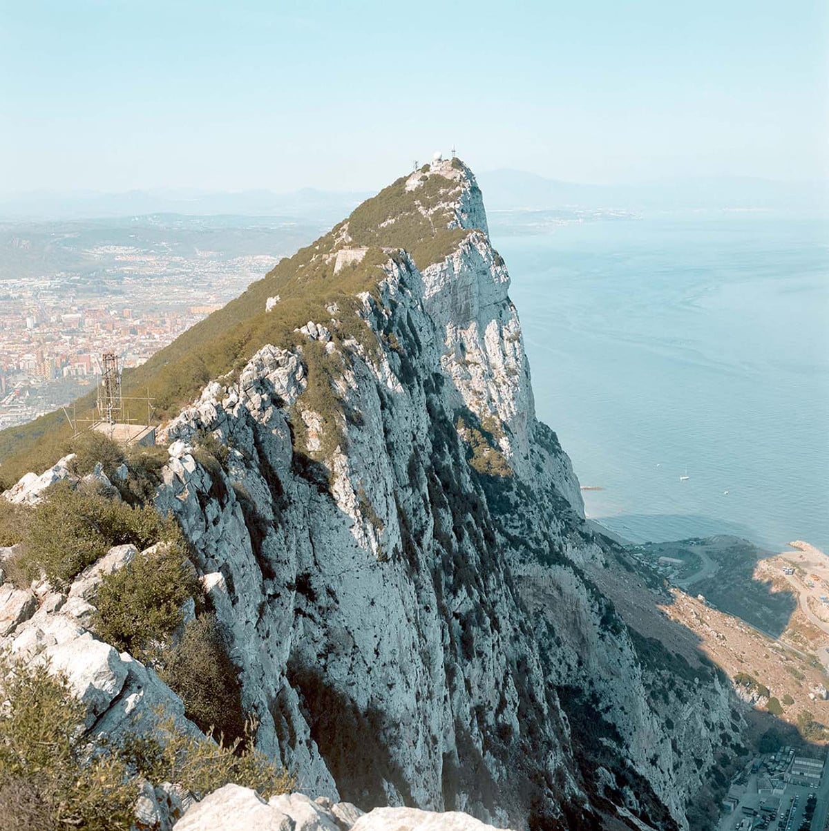 Gibraltar_Iggy_Smalls_1