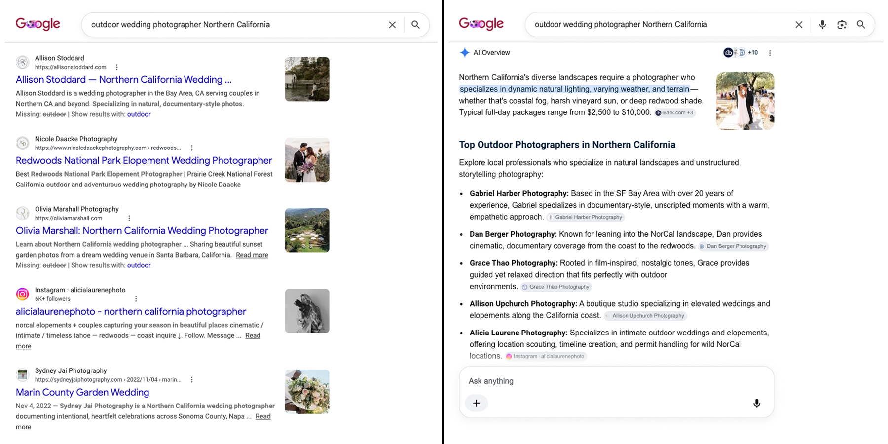 Google search results comparing AI Overview and traditional listings