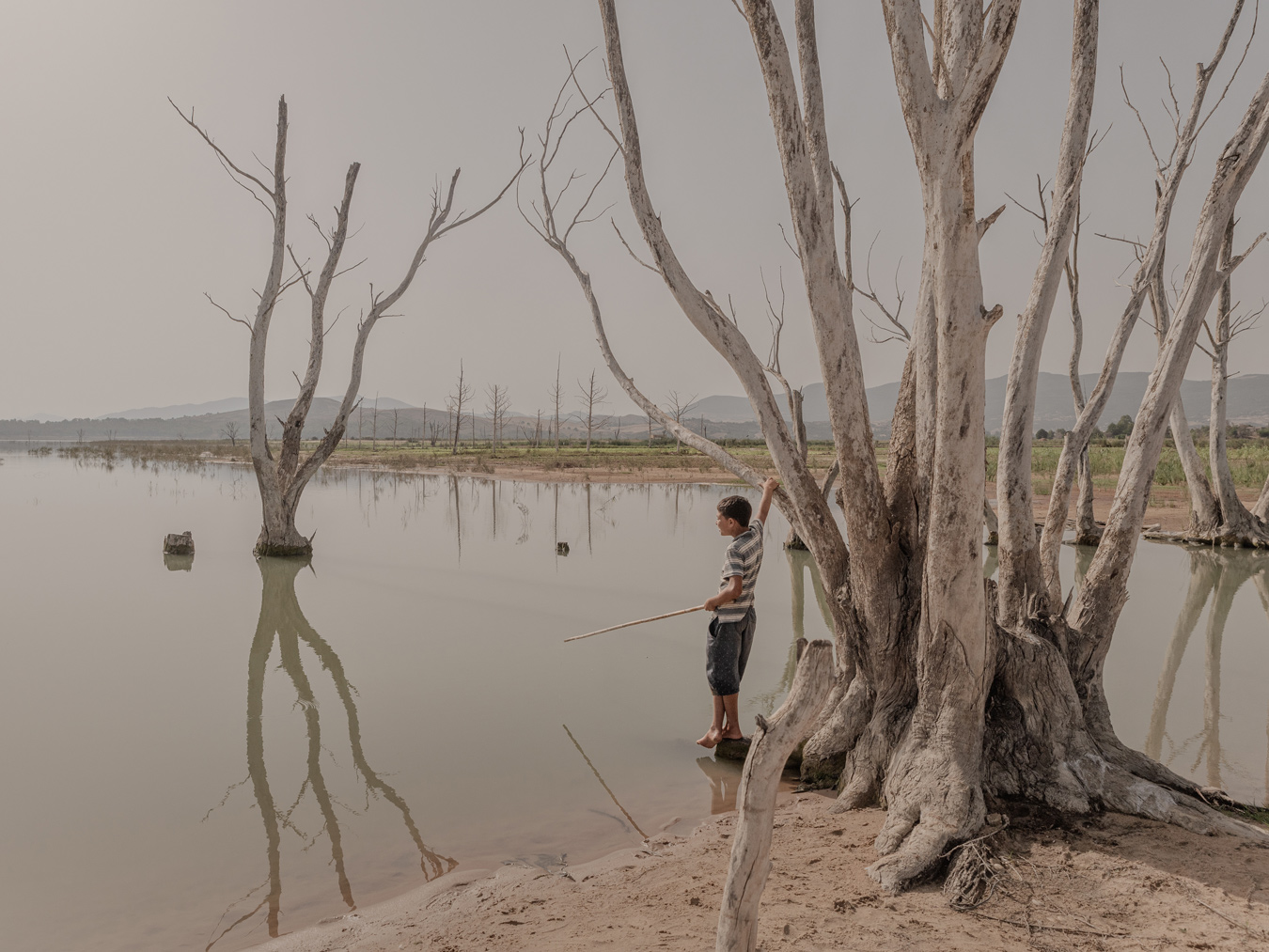 A young boy stands barefoot on a small patch of land at the edge of a lake, holding a stick and gazing out at the water, surrounded by the stark, bare trunks of trees emerging from the water. The scene is bathed in a muted, overcast light, creating a serene and slightly melancholic atmosphere. Photo by Skander Khlif.