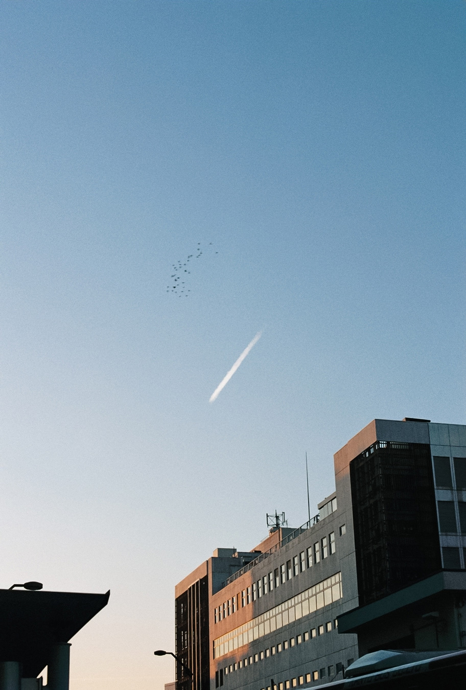 Low-angle view of a building against a blue sky with a contrail and a flock of birds. Photo by Ko Okamoto.