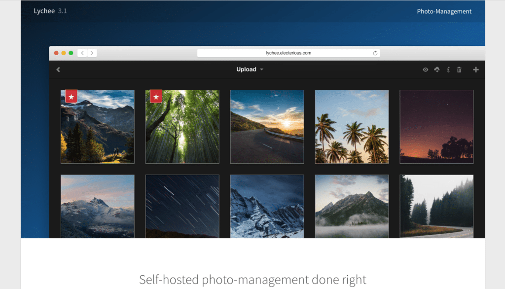 Photo Organizing Software ↗️ for Windows Free Download