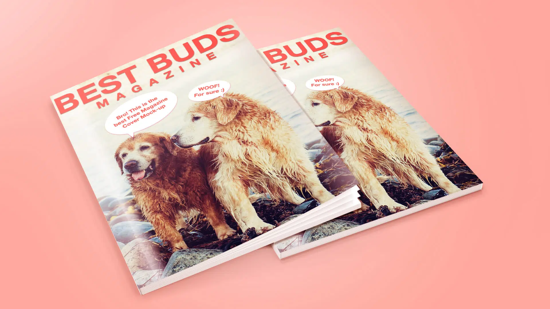 Magazine-Cover-Mock-up-dogs