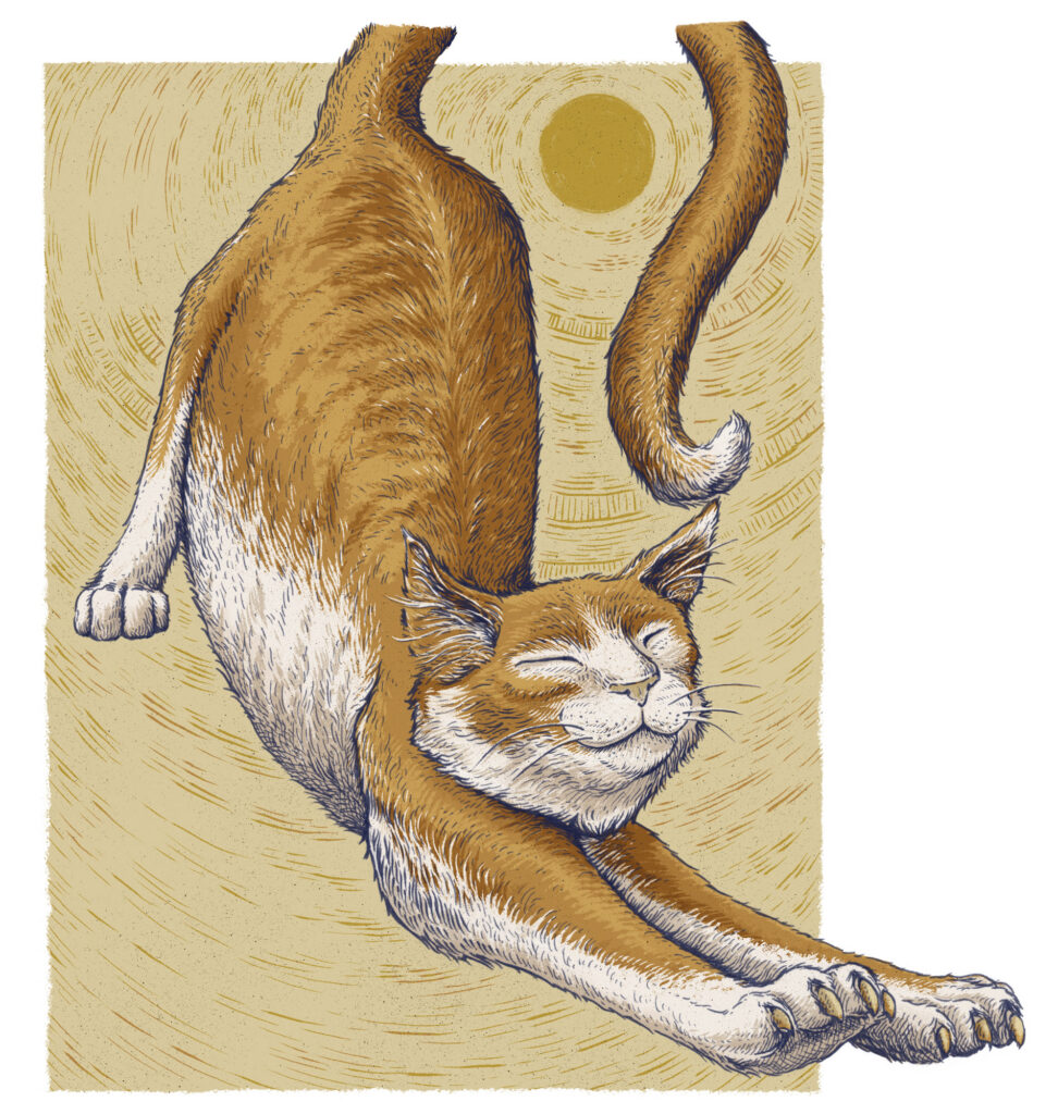 An illustration of an orange and white cat stretching its body downward with a content expression, set against a textured gold background with a circular sun motif.