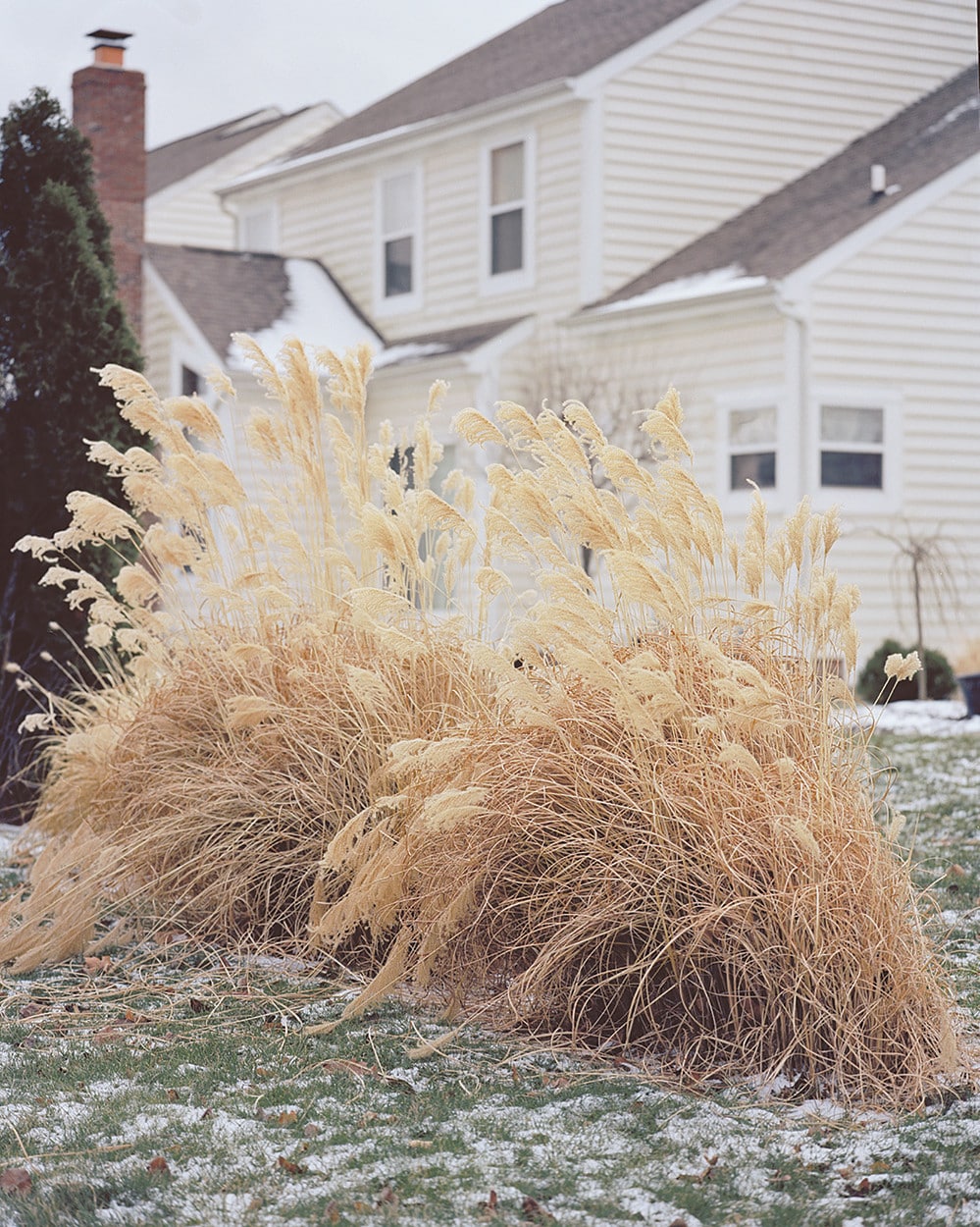 Photo_Essay_Taylor_Dorrell_2