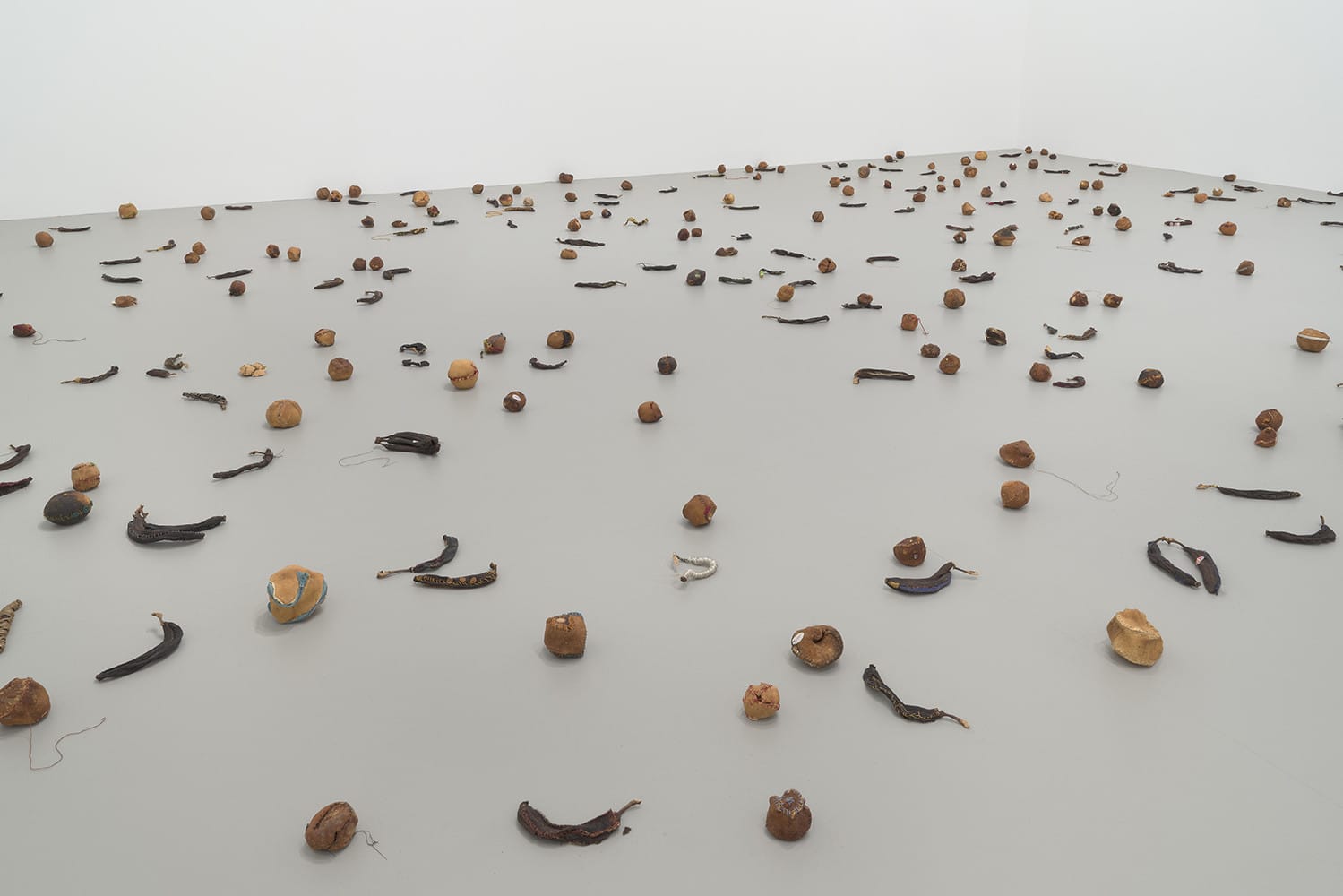 A exposição de Zoe Leonard no Whitney, "Survey", explora o que é negligenciado