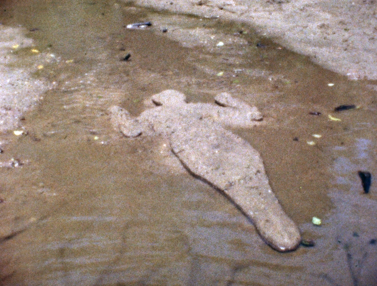 ana_mendieta_3