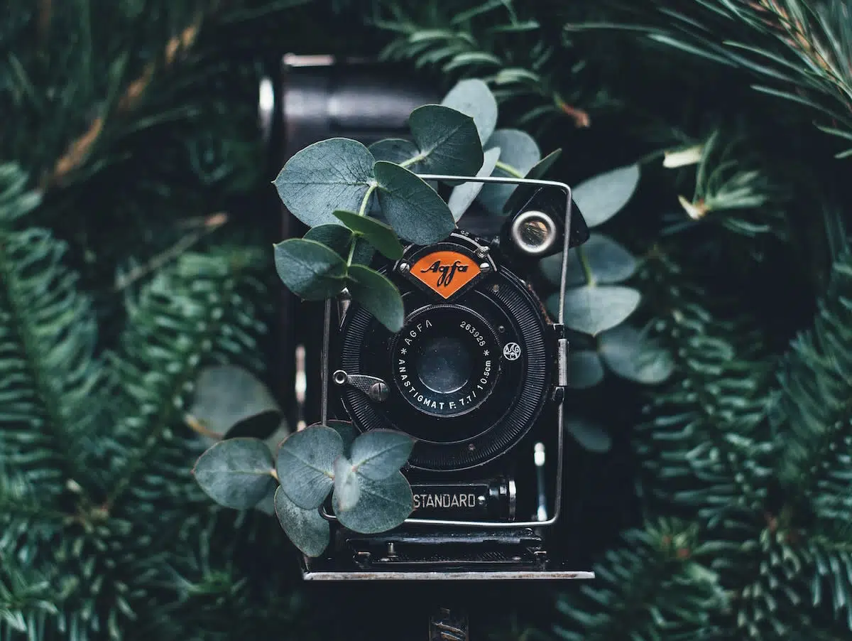 The Best Photography Hashtags for Instagram The Best Photography Hashtags for Instagram