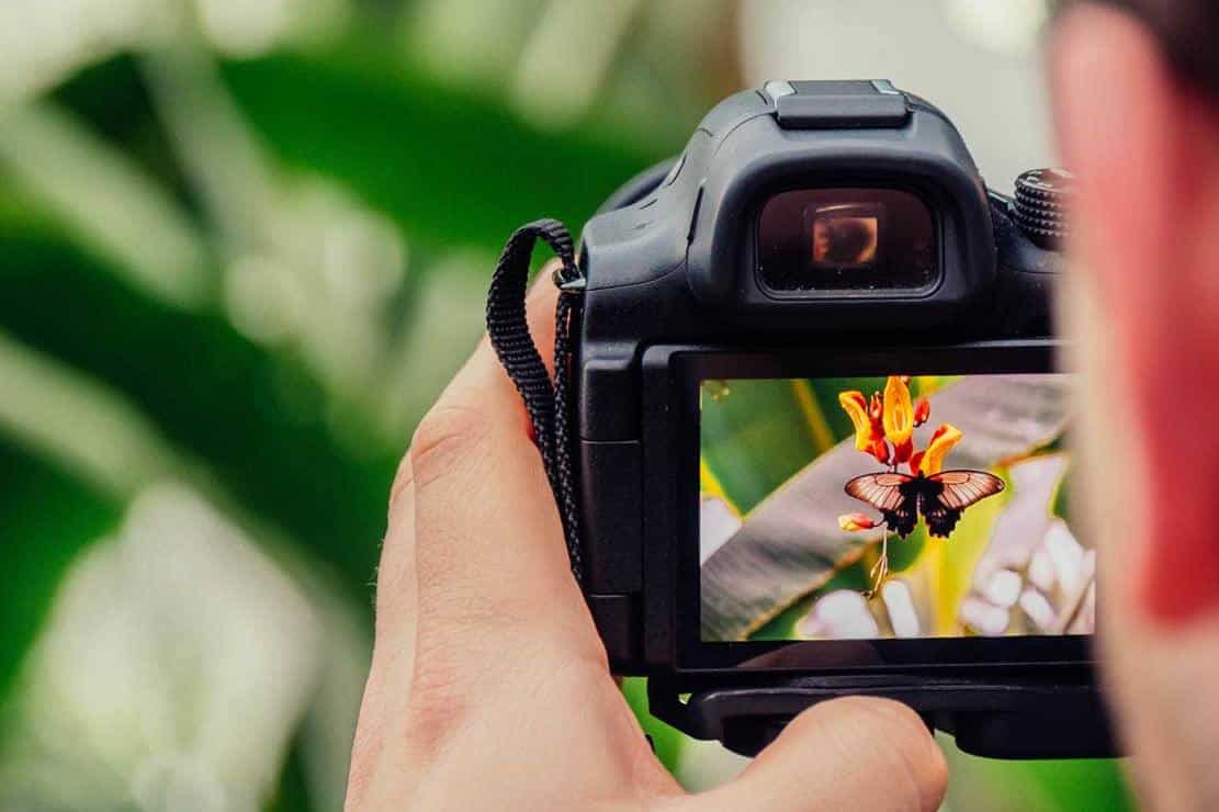 las mejores cámaras dslr para principiantes