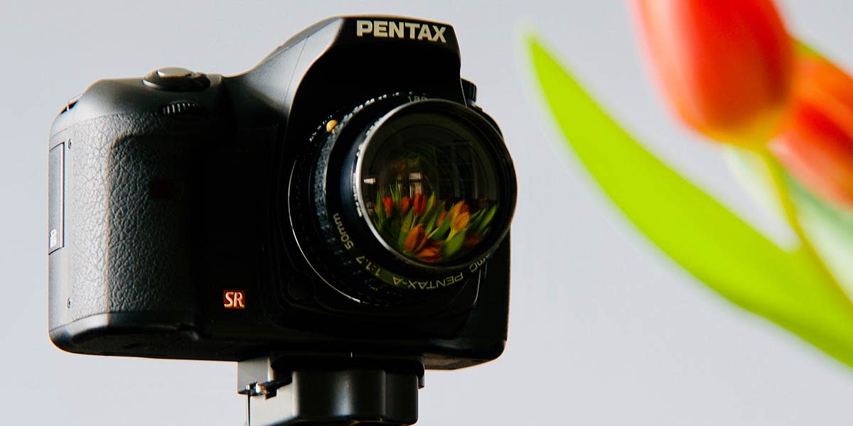 best-pentax-dslr-for-beginners