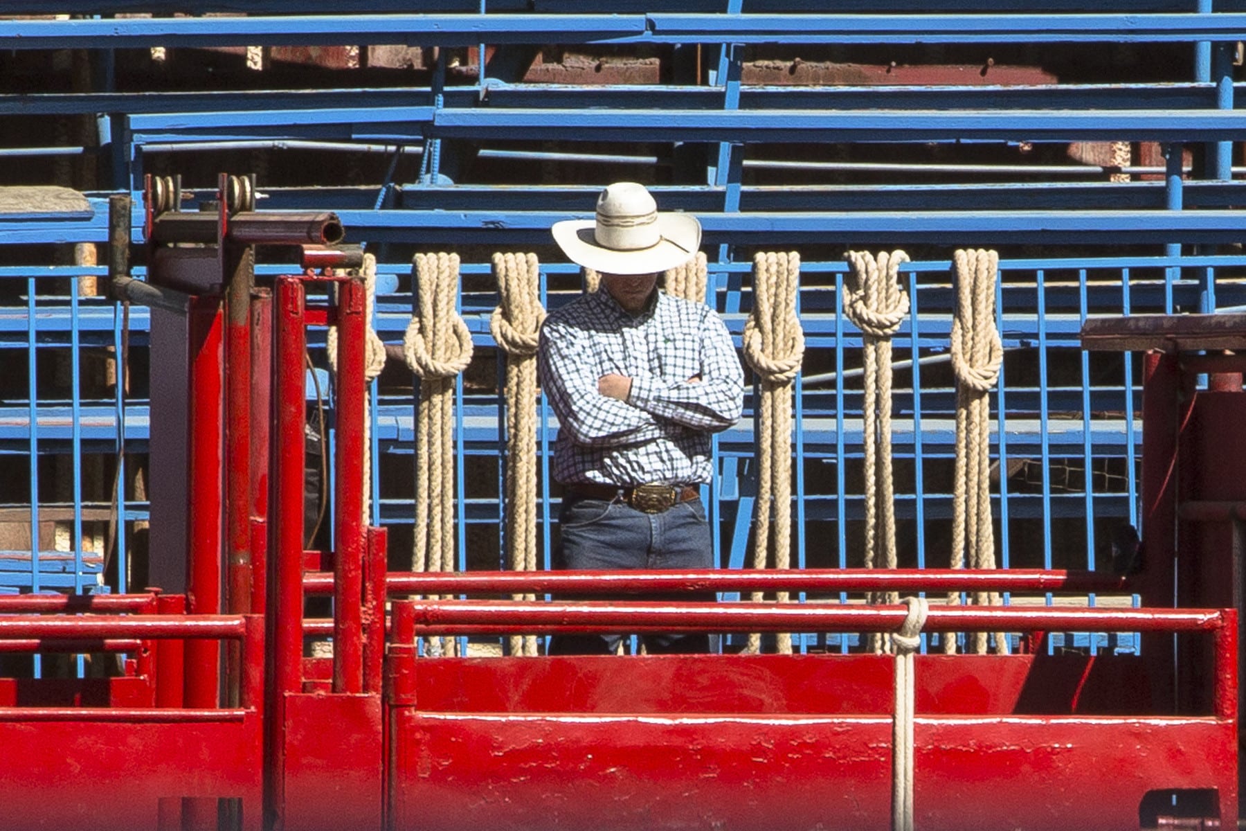 brit-worgan-schwul-rodeo-13