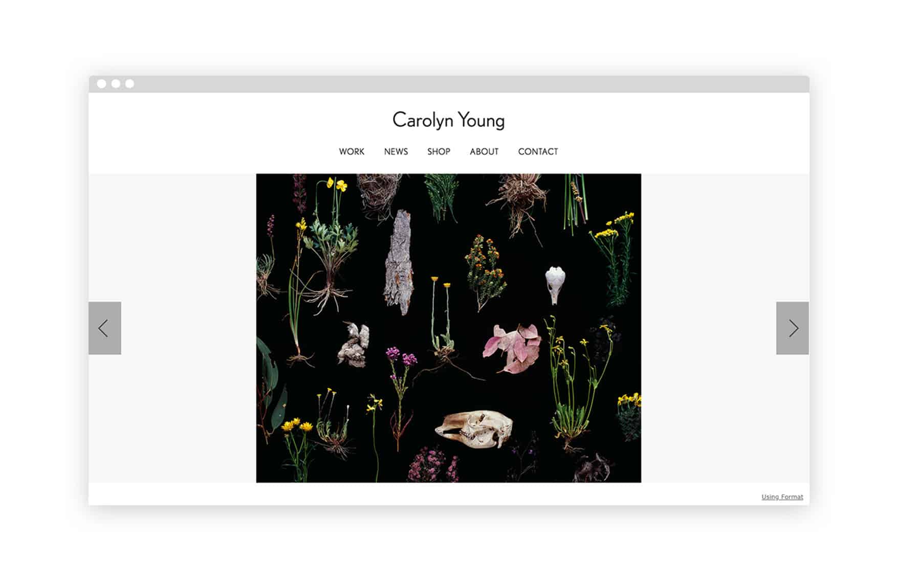 carolyn_young_fine_art_photography