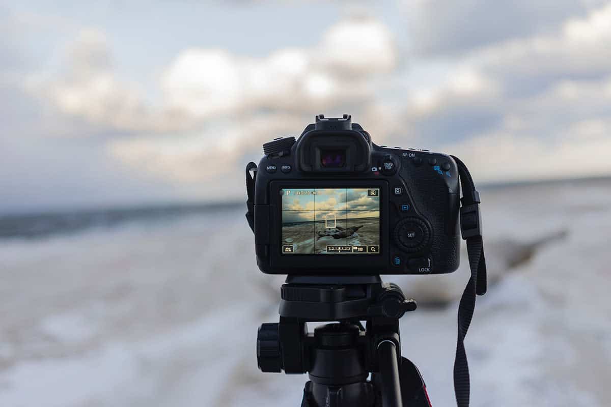 Guía del principiante para elegir un estilo fotográfico