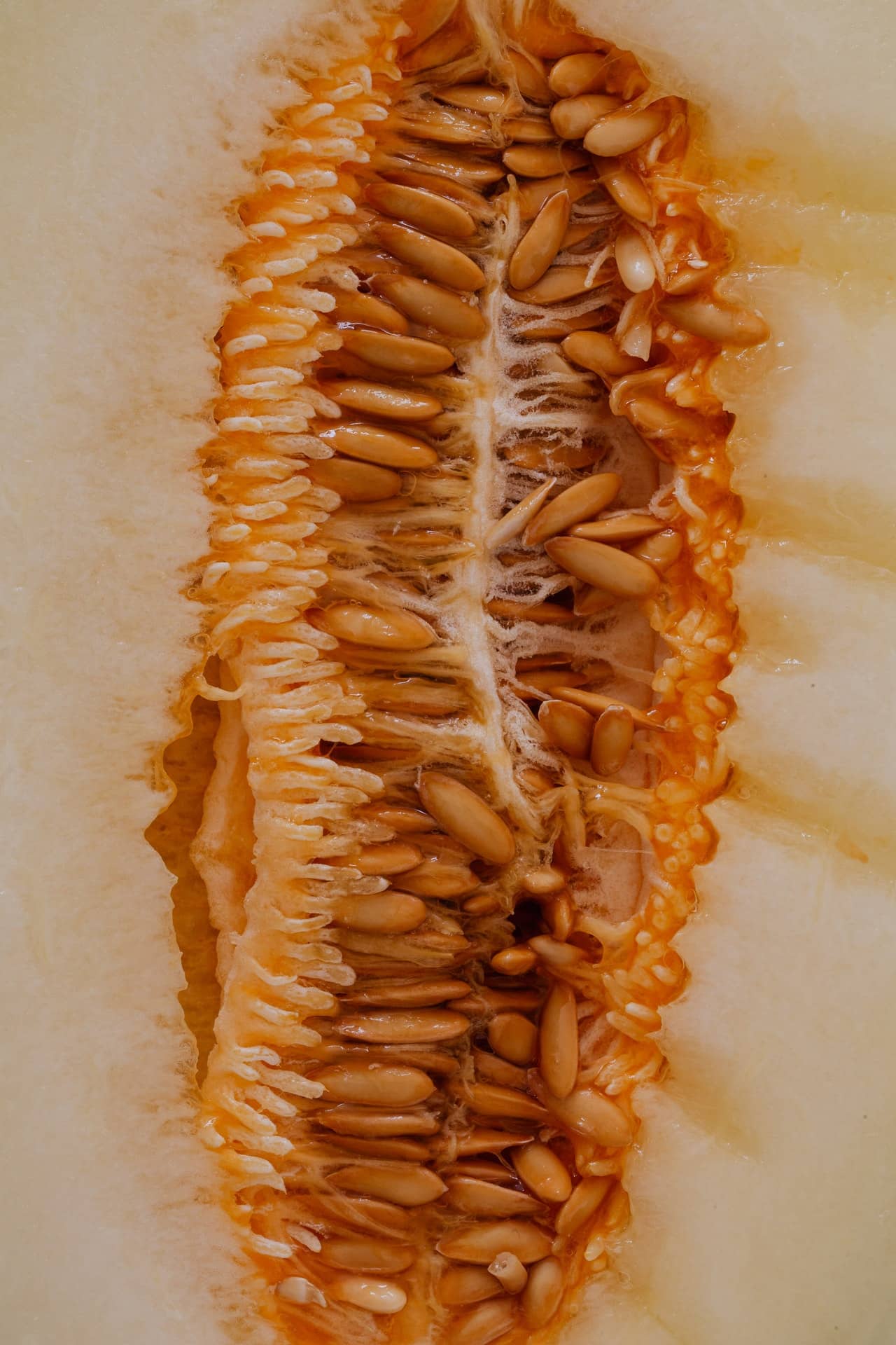 close up on fruit