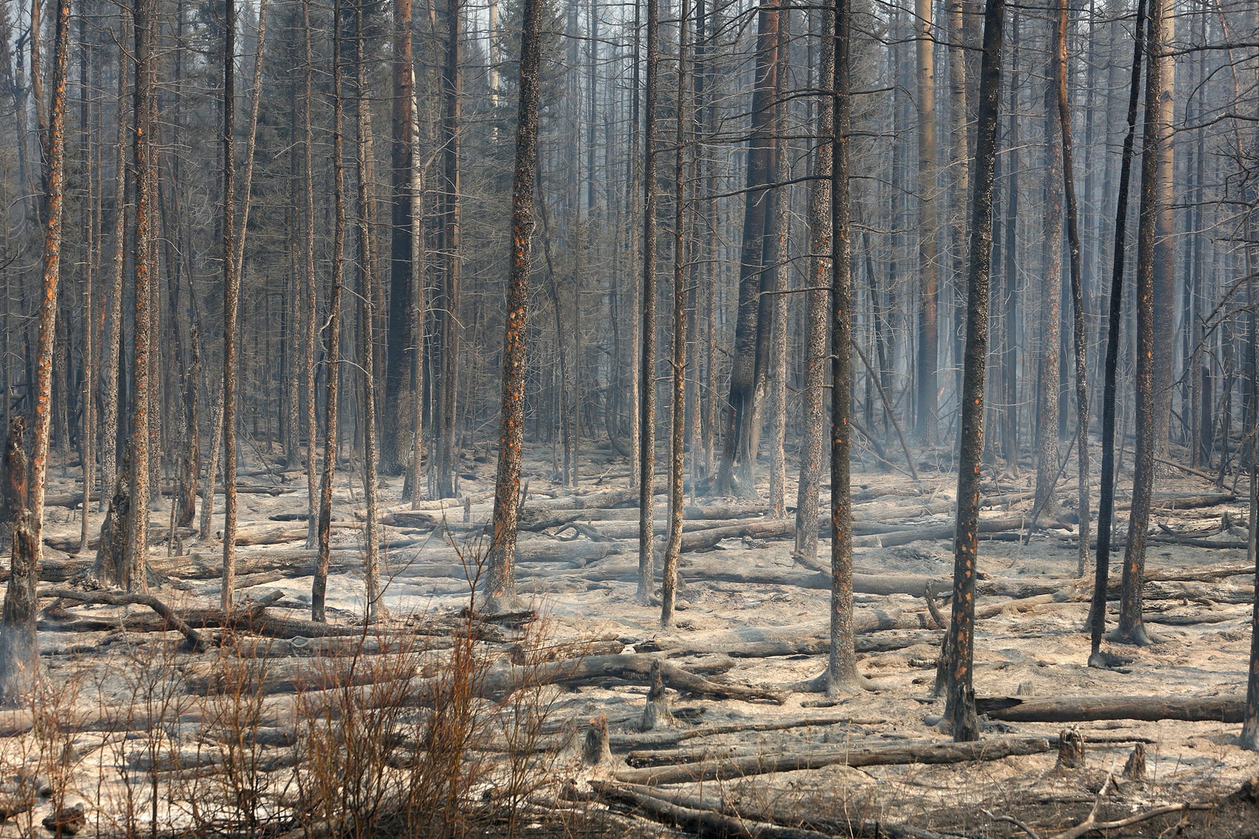 cole-burston-fort-mcmurray-fires-photography-portfolio-26