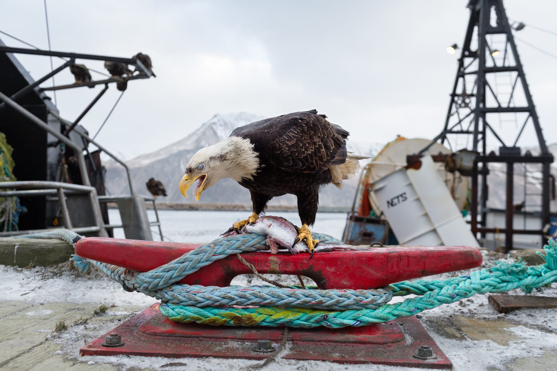 Photographing the Remote, Snowy World of Alaskan Fishing Ships