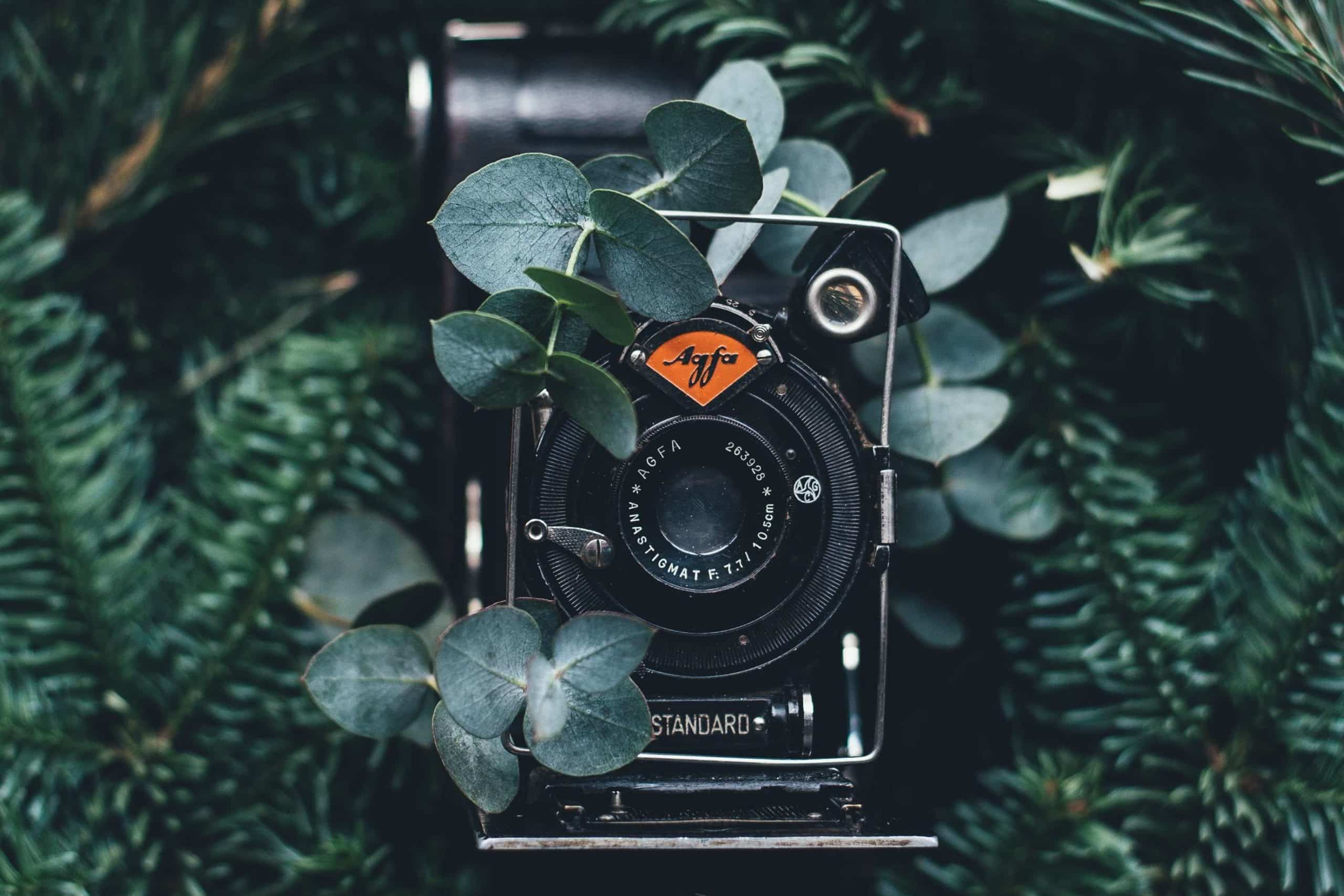 creative christmas gifts photographers scaled