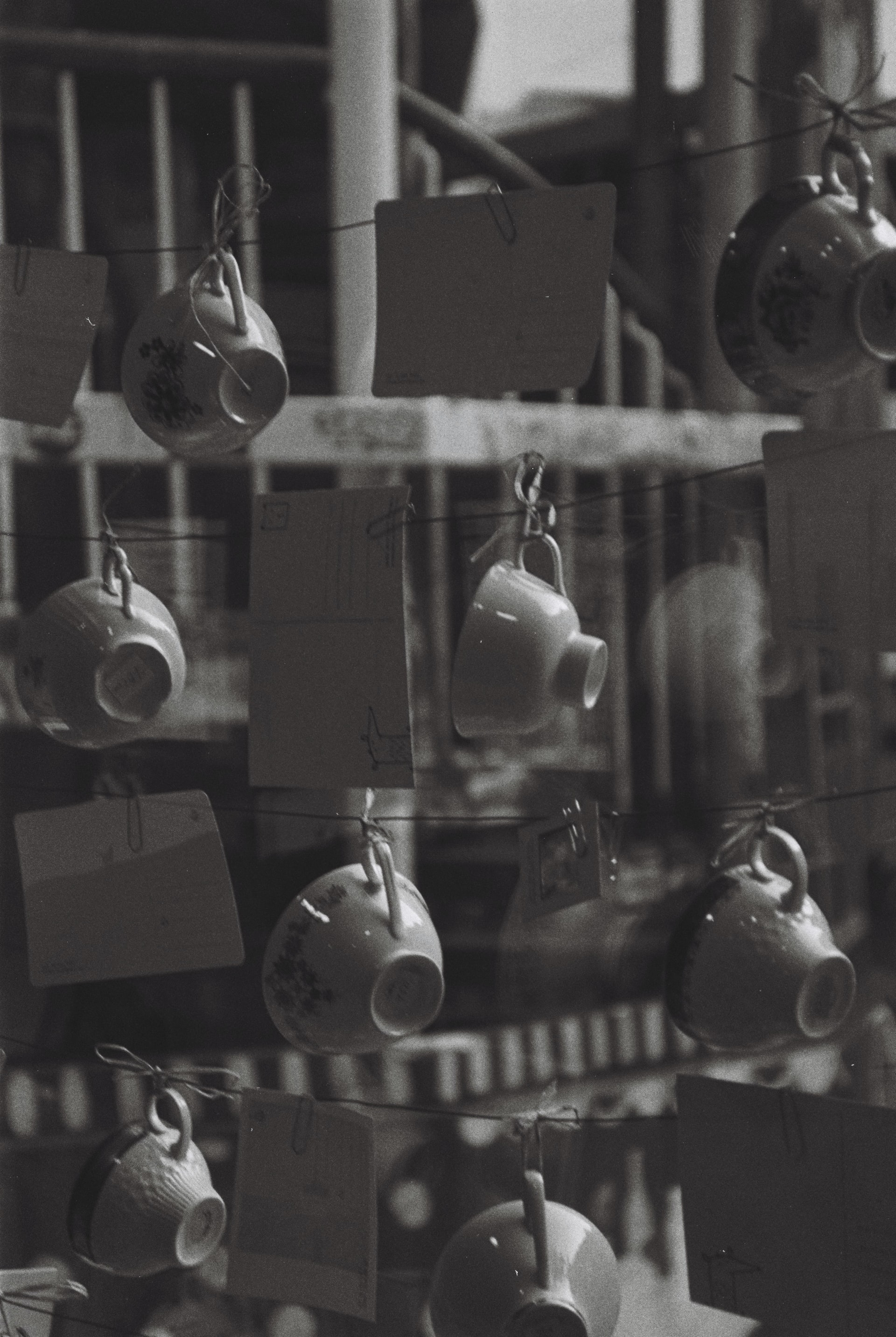 tazas-fotografía en blanco y negro