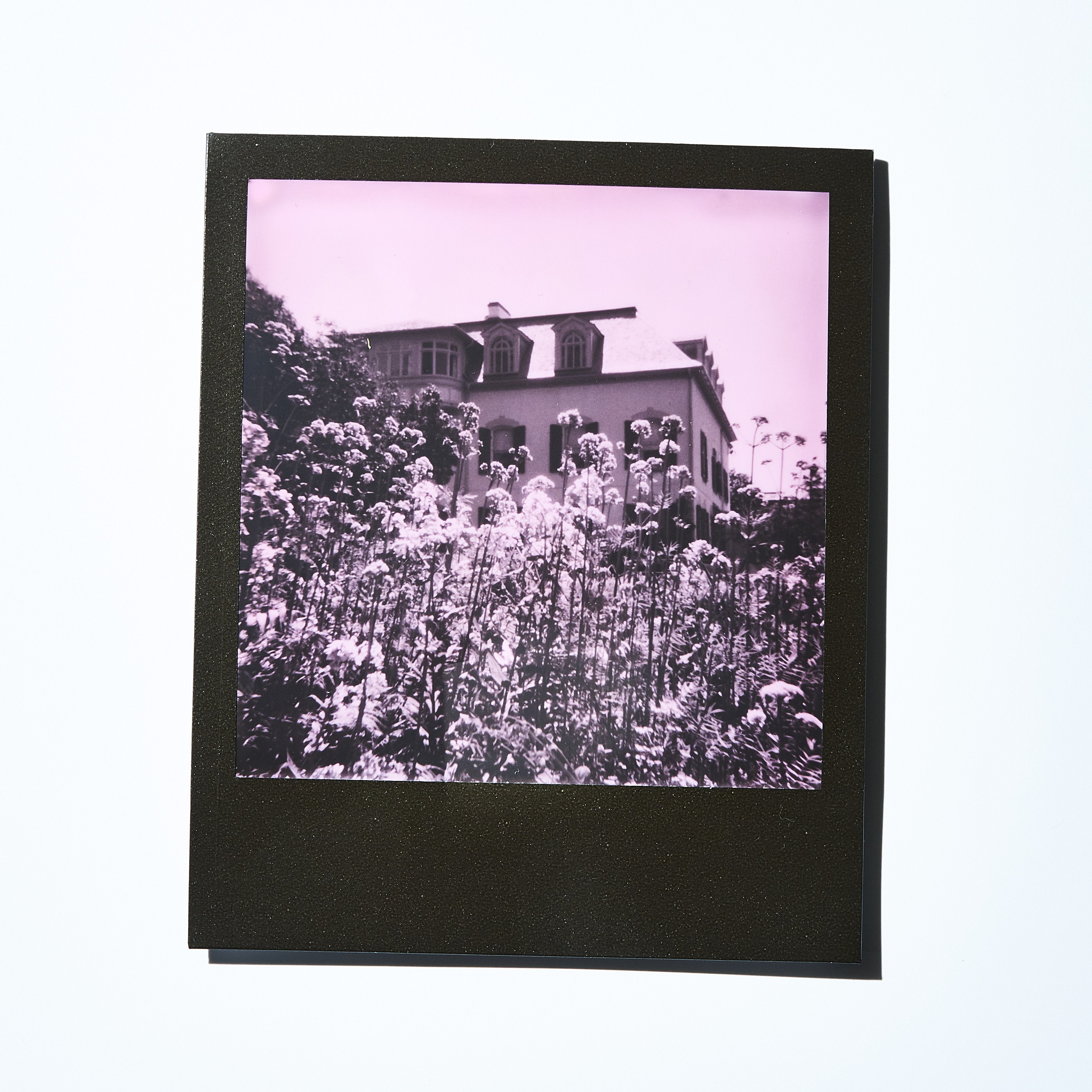 daniel-neuhaus-impossible-project-pink-1