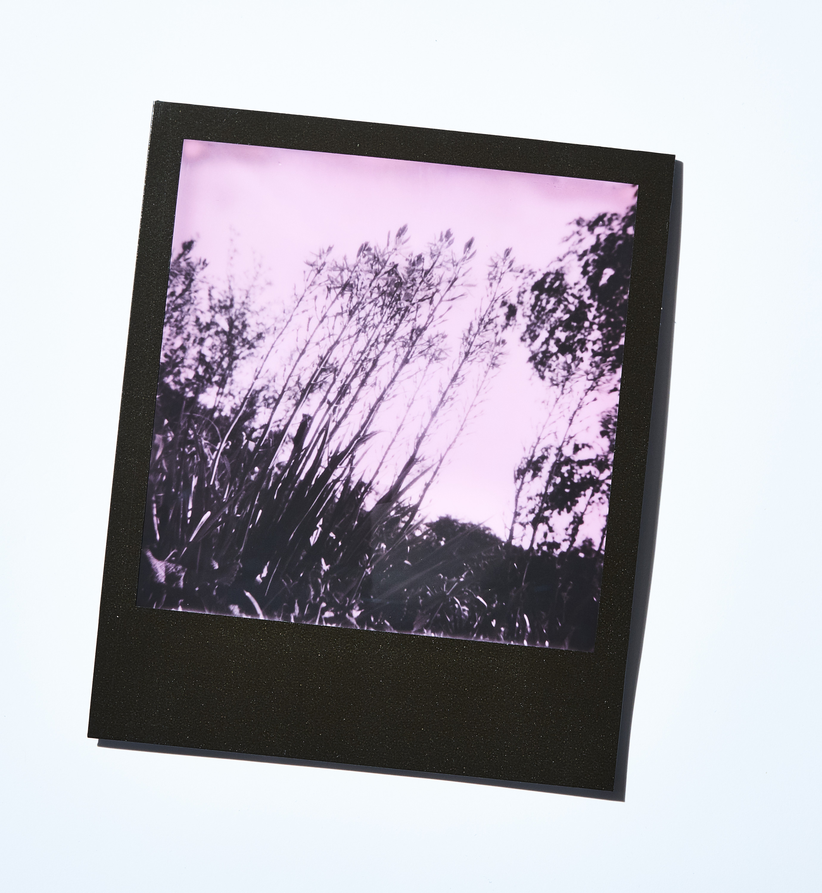 daniel-neuhaus-impossible-project-pink-10