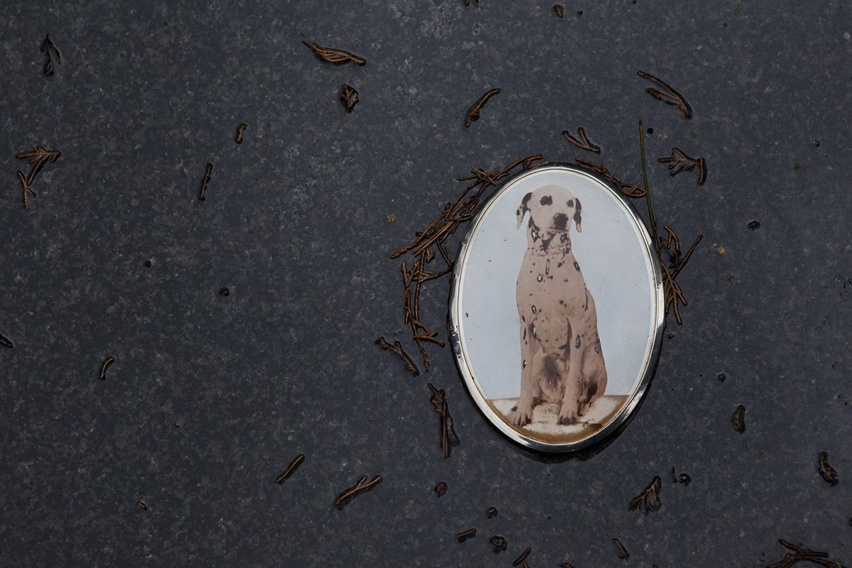 Photographing the Funeral Rites of Pets