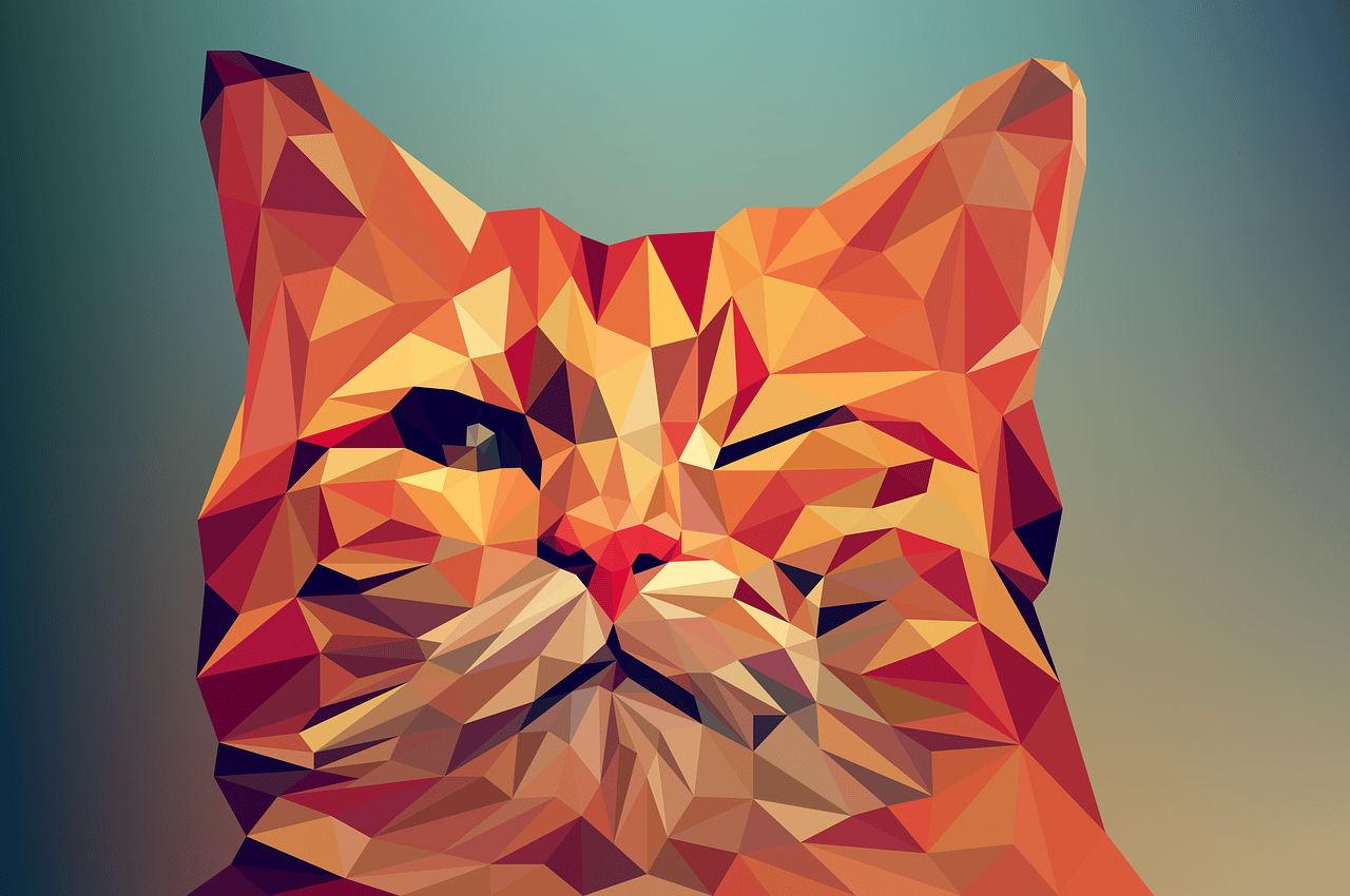 gato digital