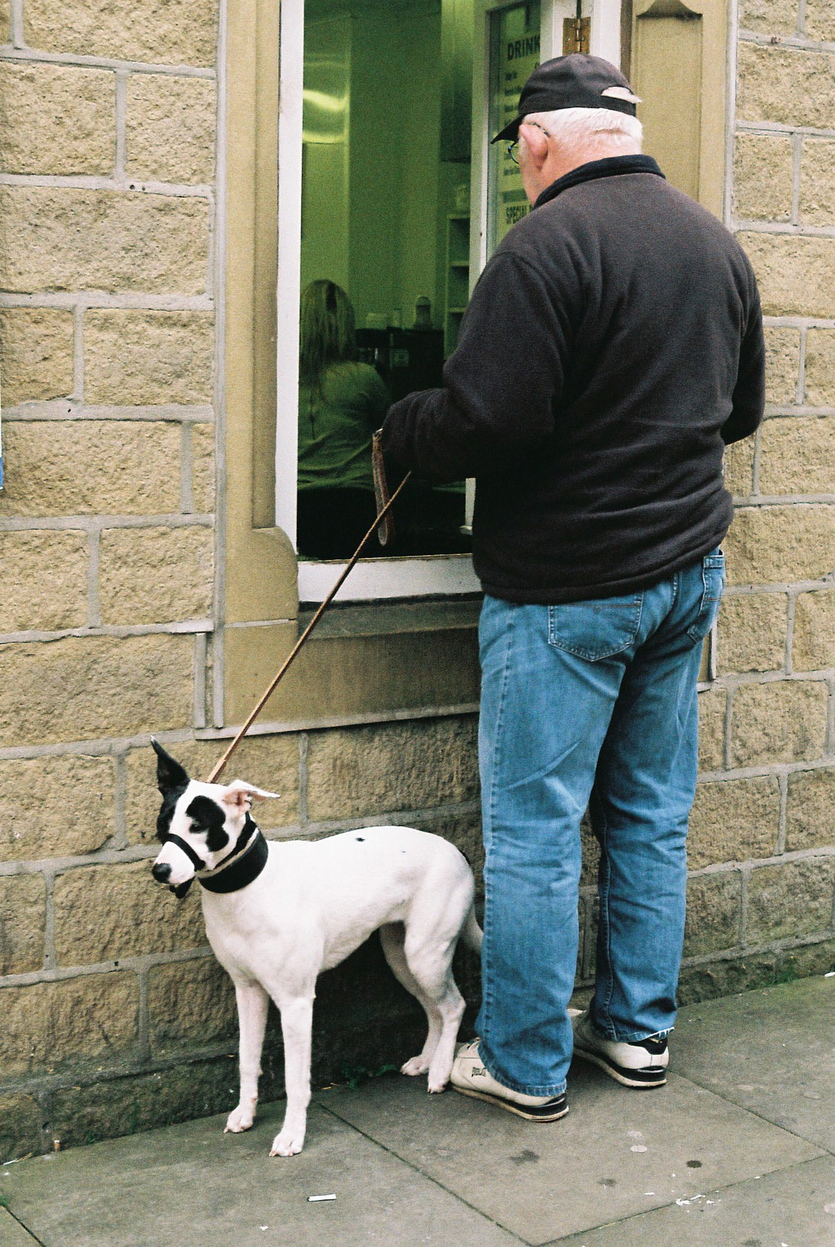 retratos de cães-18