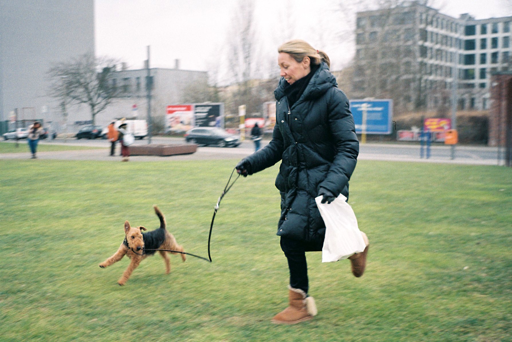 portraits de chiens-22