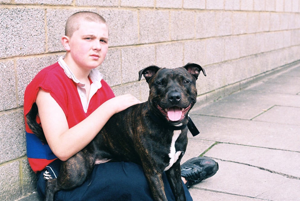 Tom Bamforths Dogspotting Street Photography fängt das tägliche Leben von Hunden ein