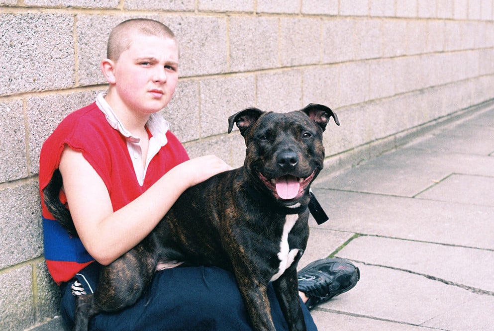 La photographie de rue Dogspotting de Tom Bamforth capture la vie quotidienne des chiens