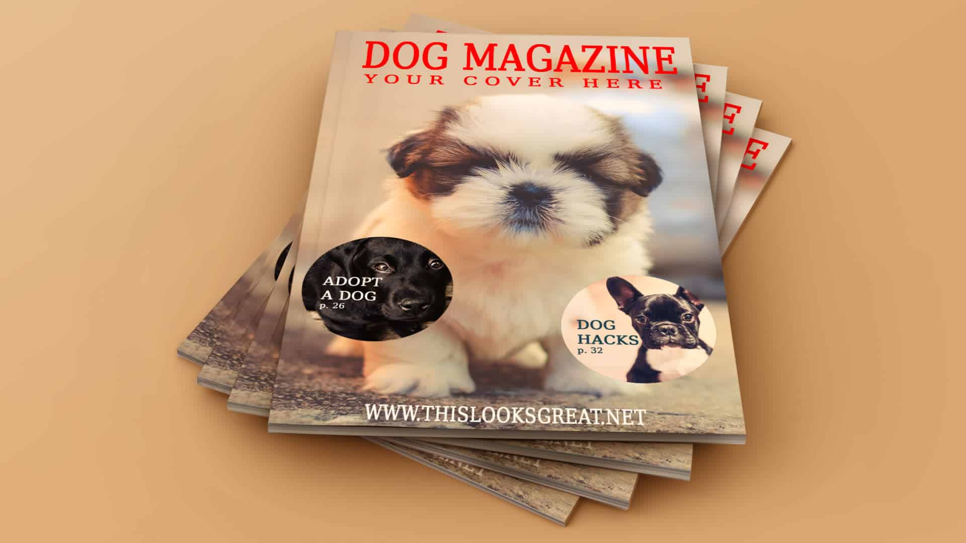 maquete de revista de cachorro_psd