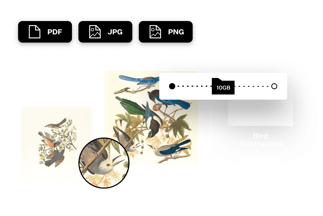 how to send a photo in file format
