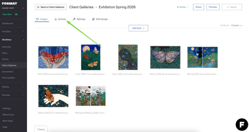 Client galleries dashboard showing activity tracking tab in Format