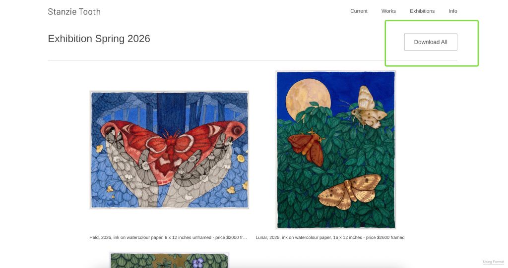 Highlighted download all button on an art exhibition gallery page
