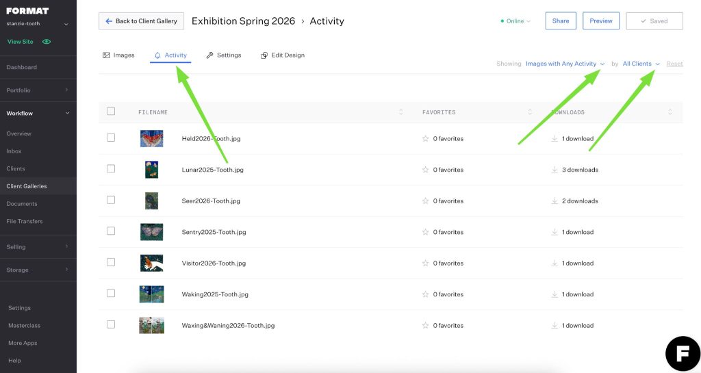 Format client gallery activity view with filters, downloads, and favorites analytics