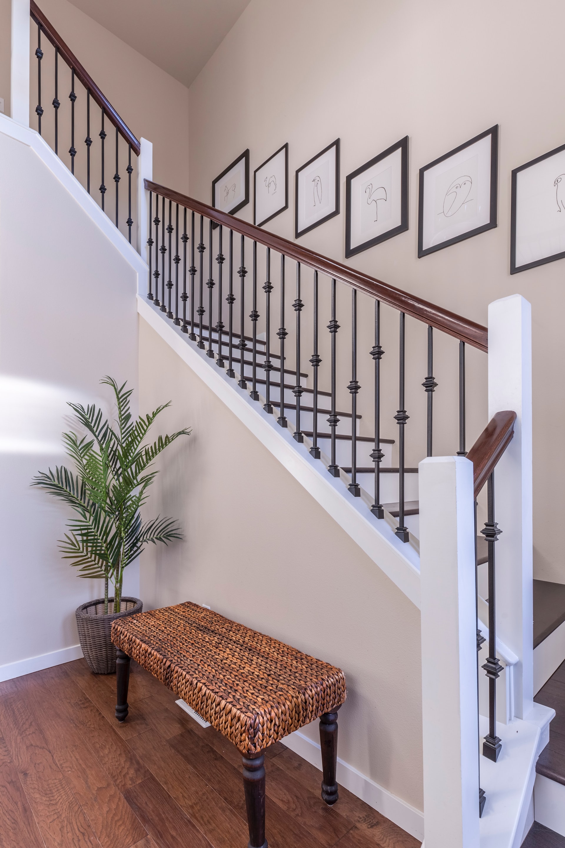 prise de vue de l'escalier d'une maison