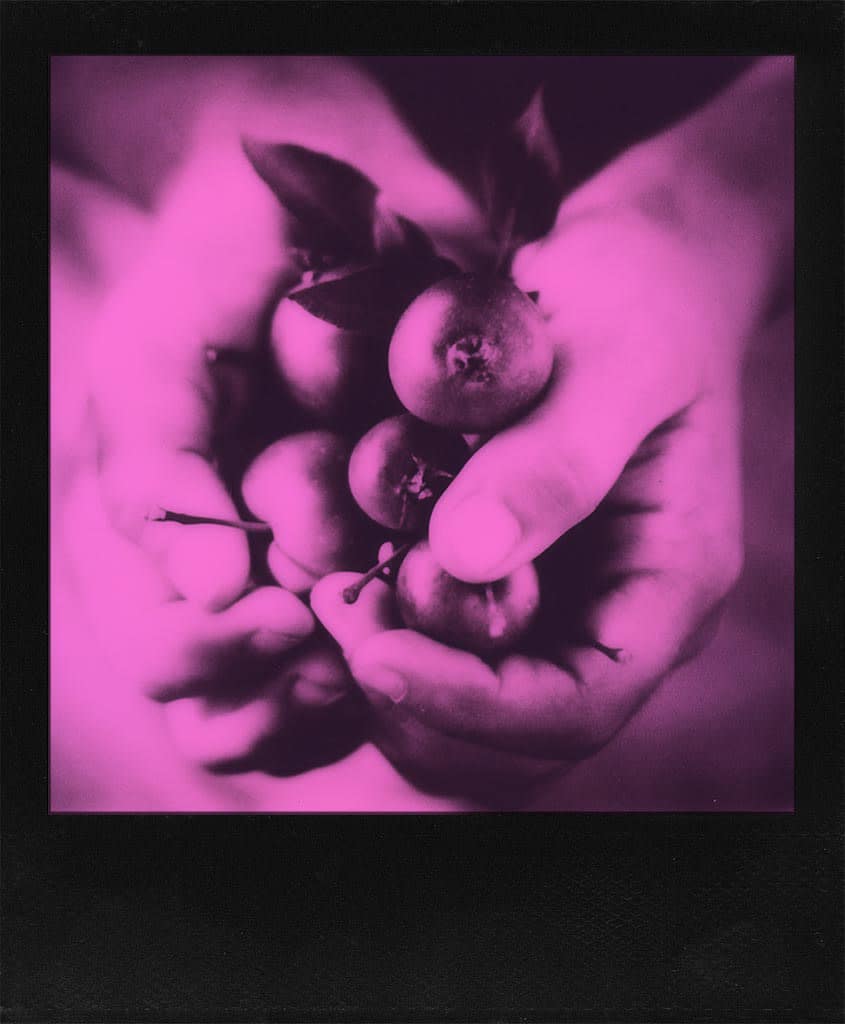 gabriela-tulian-impossible-projet-duochrome