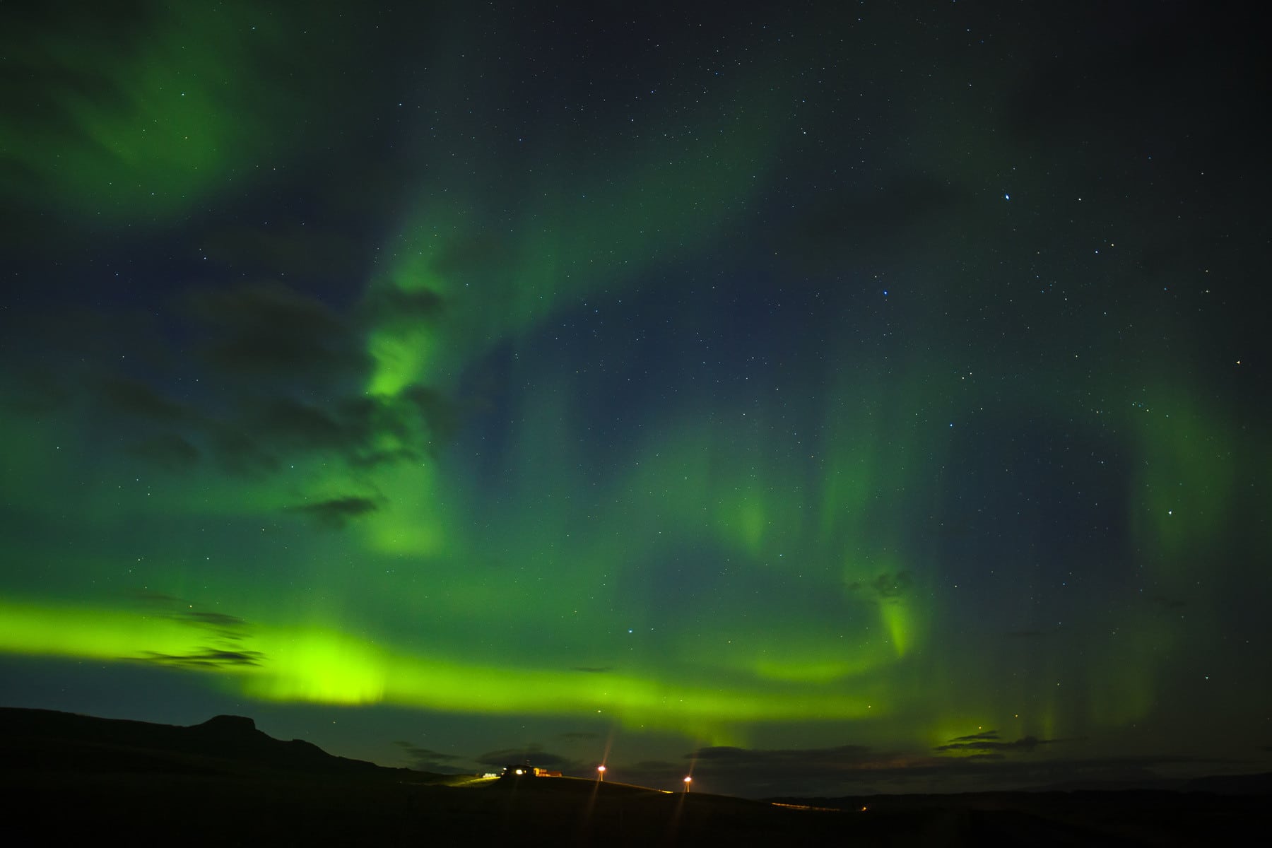 Photographie de la couleur verte de l'année 2017 de Pantone