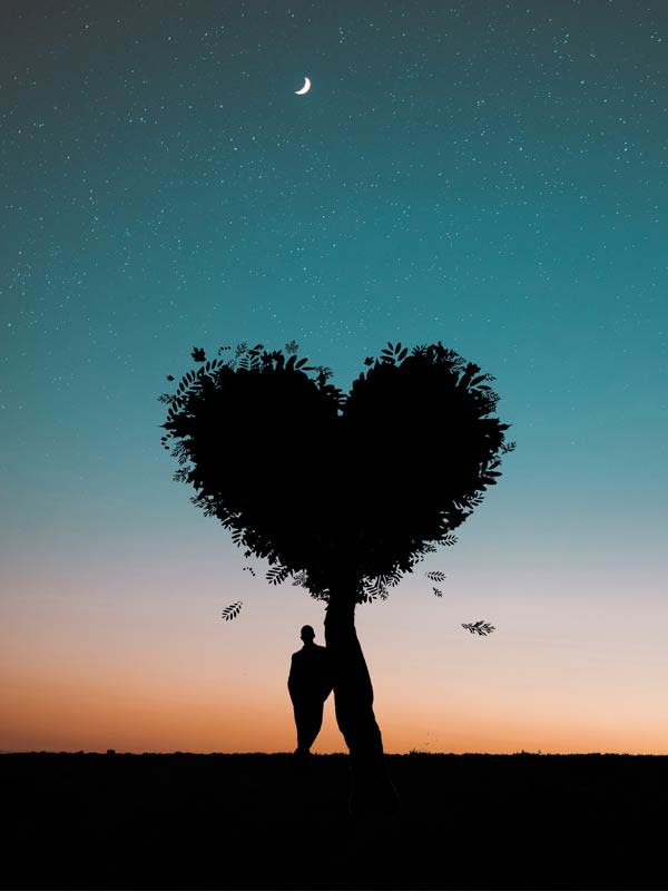 arbre en forme de coeur avec un homme