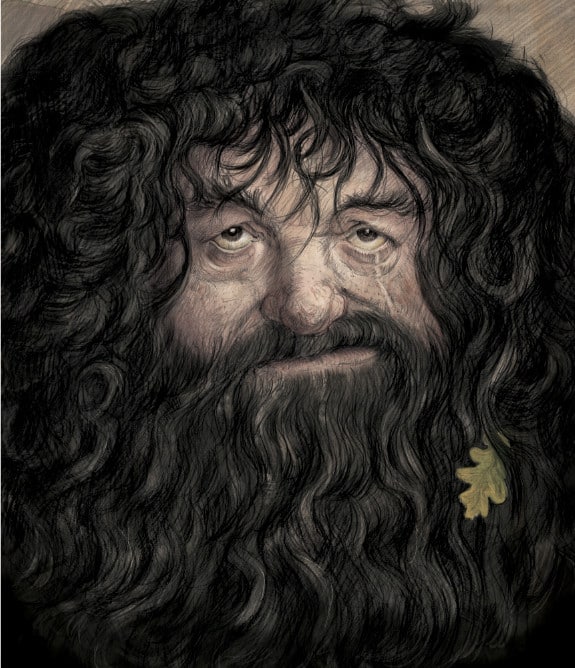 jim_kay_hagrid_harry_potter_2