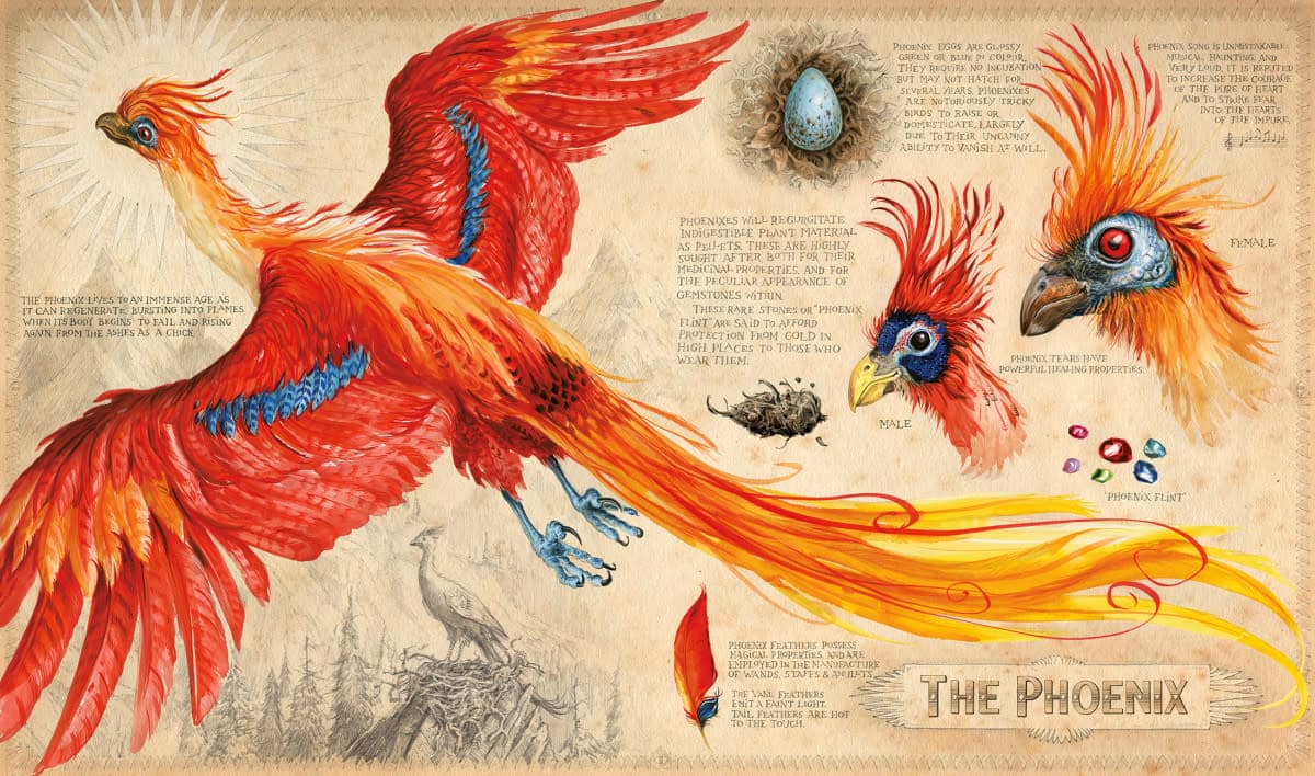 jim_kay_order_of_the_phoenix_harry_potter