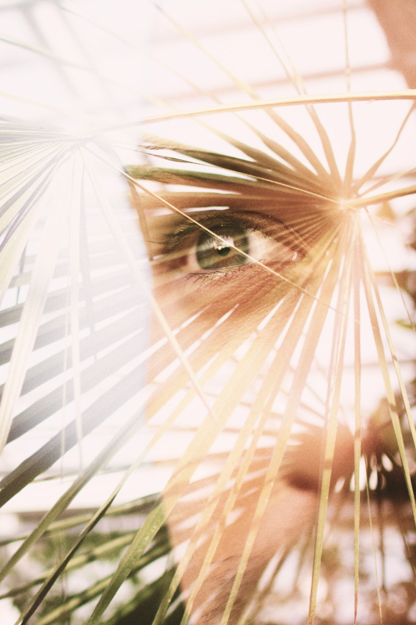 Close-up of a woman’s eye seen through sunlit palm leaves