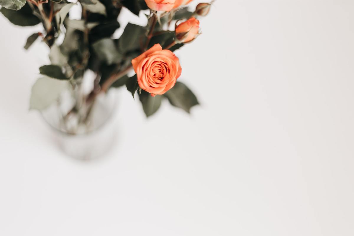 Roses rouges oranges dans un vase transparent